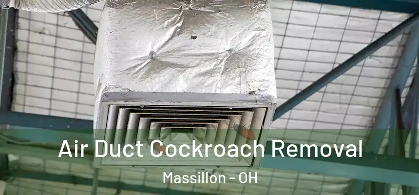  Air Duct Cockroach Removal Massillon - OH