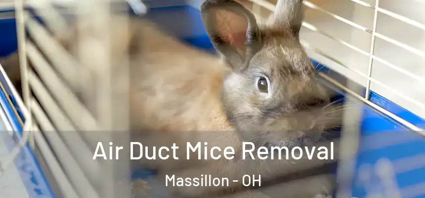  Air Duct Mice Removal Massillon - OH