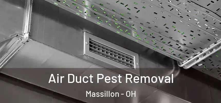 Air Duct Pest Removal Massillon - OH