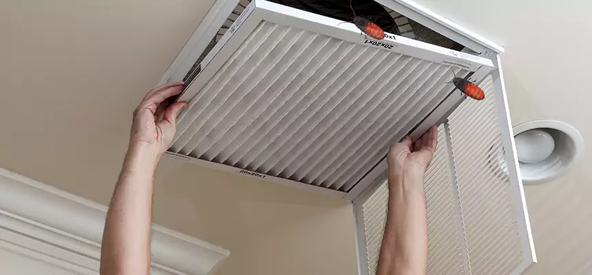 Our Insect Removal from Air Ducts Services in Massillon, OH