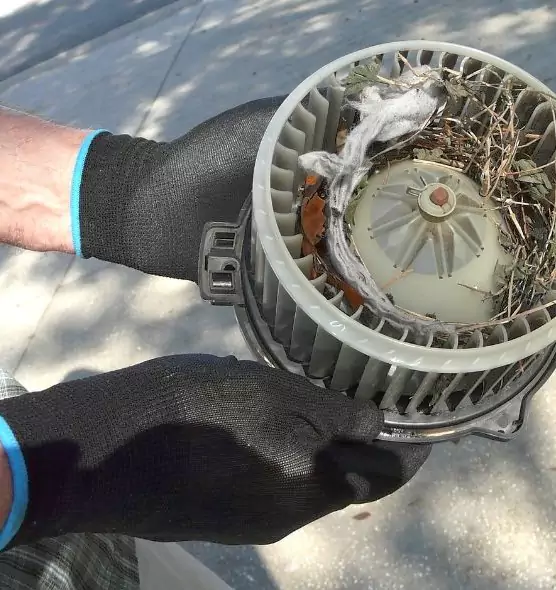 About Air Duct Mice Removal in Massillon, OH