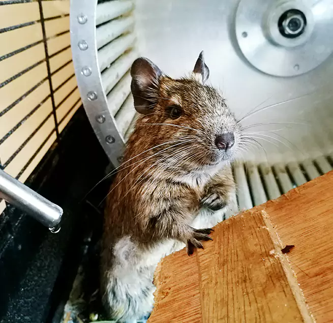 Why Homeowners & Businesses Trust Us Massillon, OH?